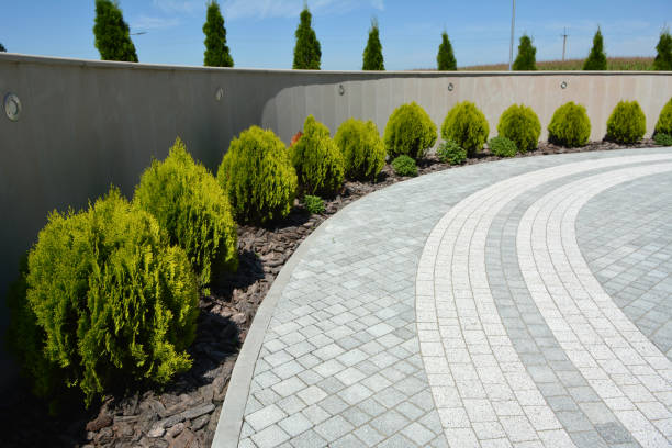 Trusted Silver City, NM Driveway Pavers Experts